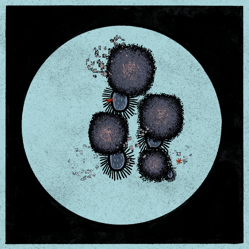 Microbes #43