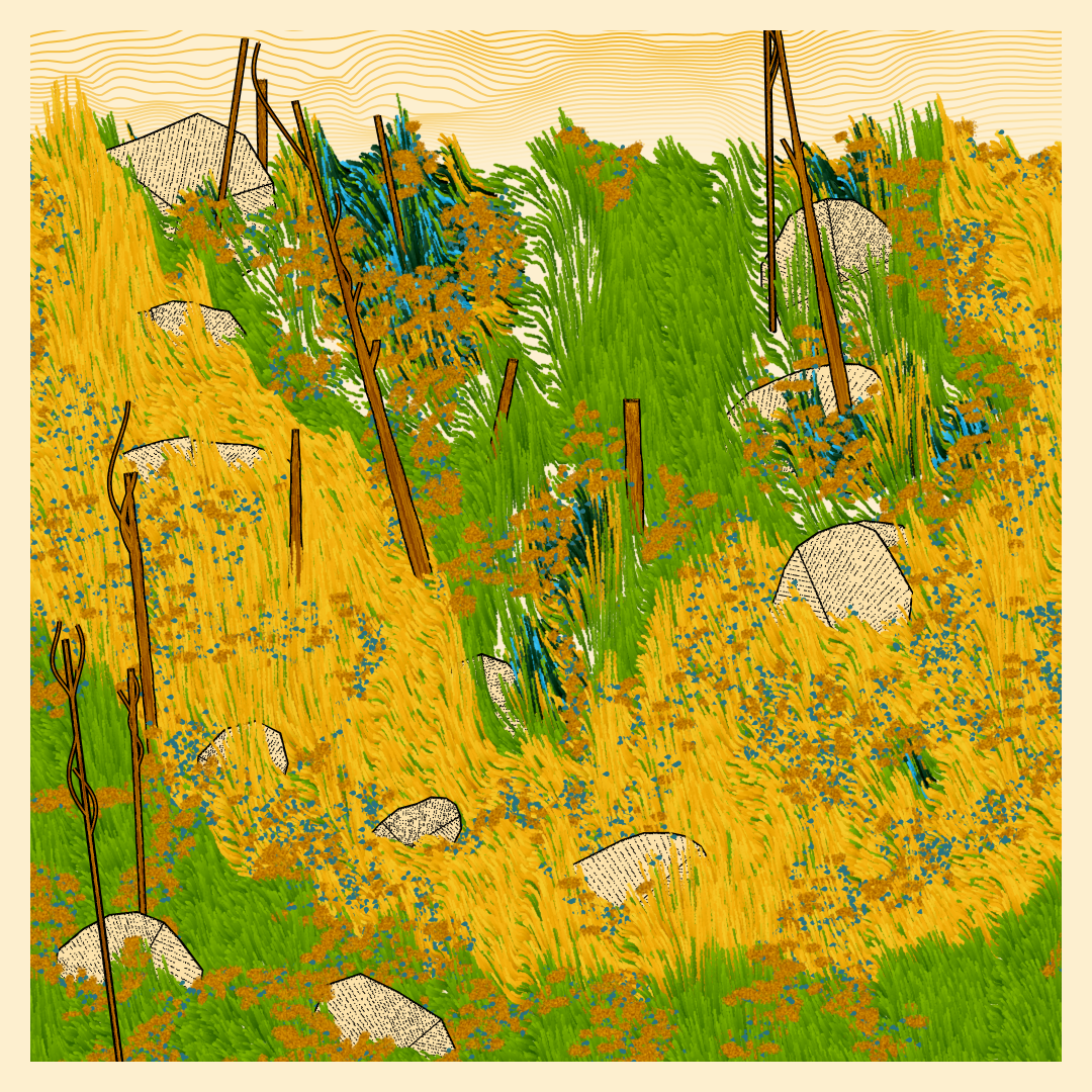 Bagh #156
