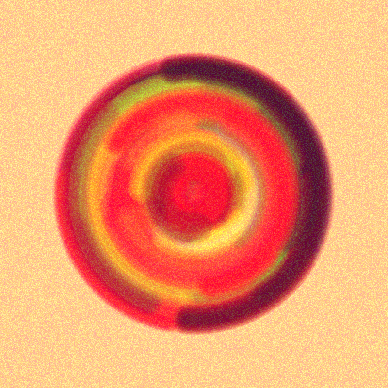 Wisp #195