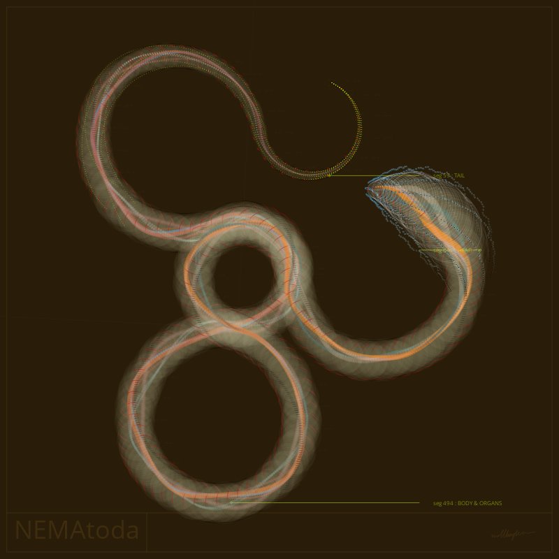 NEMA #20