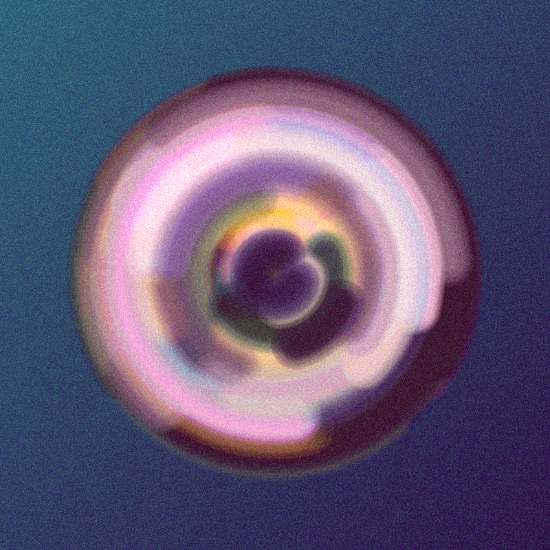 Wisp #739