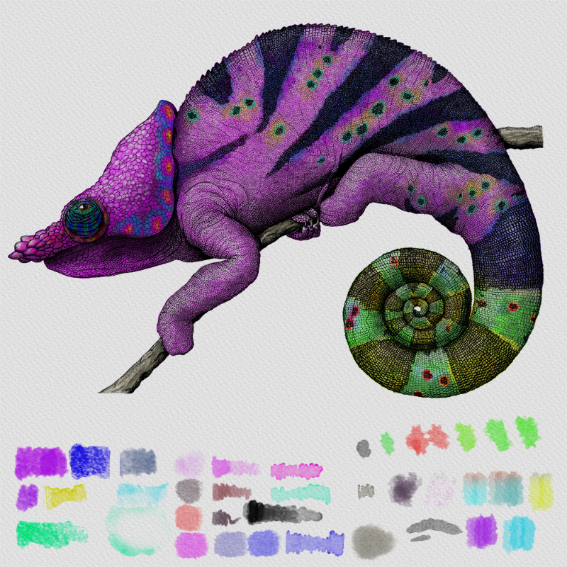 Colorful Cameleon #14