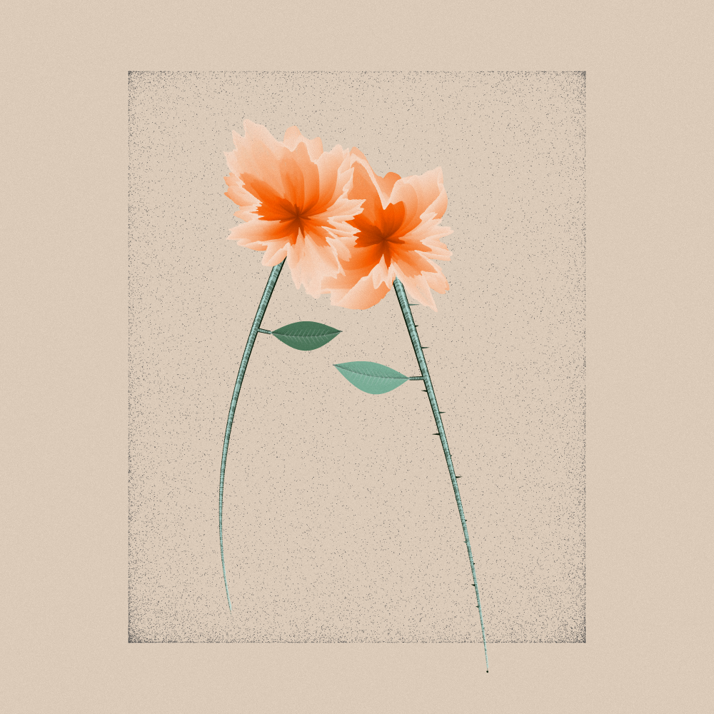 Magnolia #94