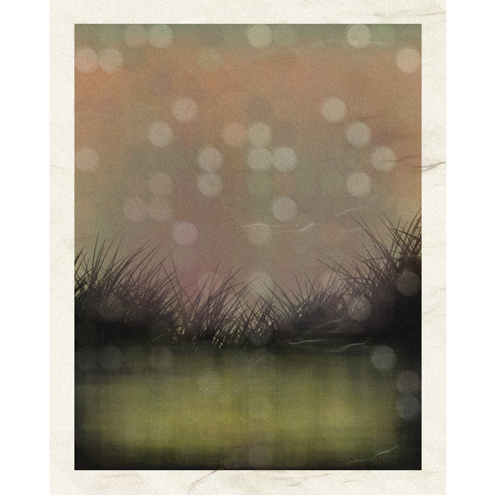 Self-reflection #40