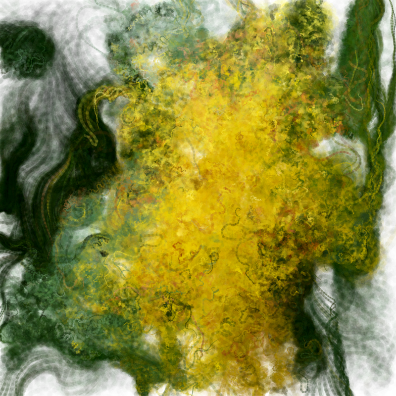 Hypericum #44