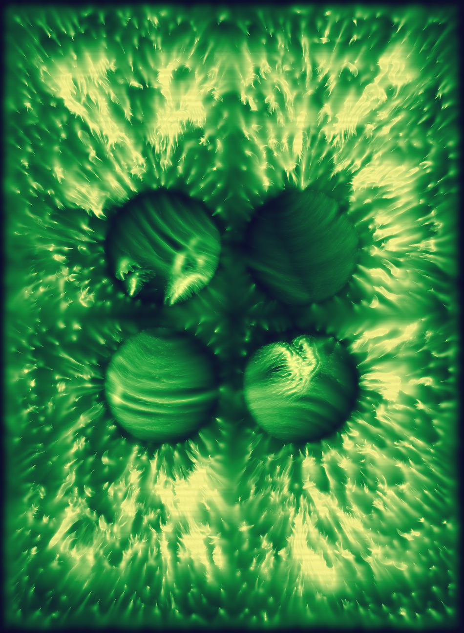 Holons #335