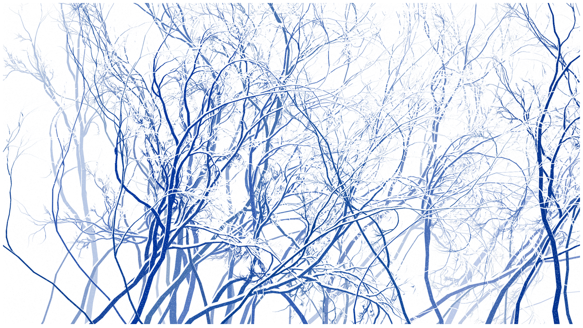 SCHNEEWALD #65