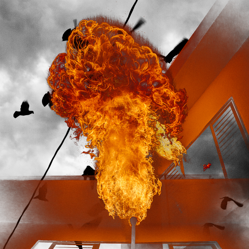 Free to burn #2