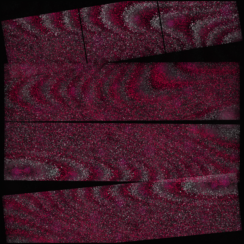 Boundary Conditions #264