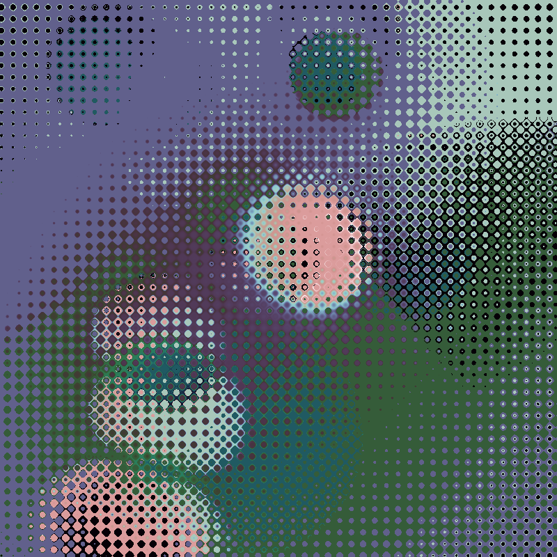 Focus #13