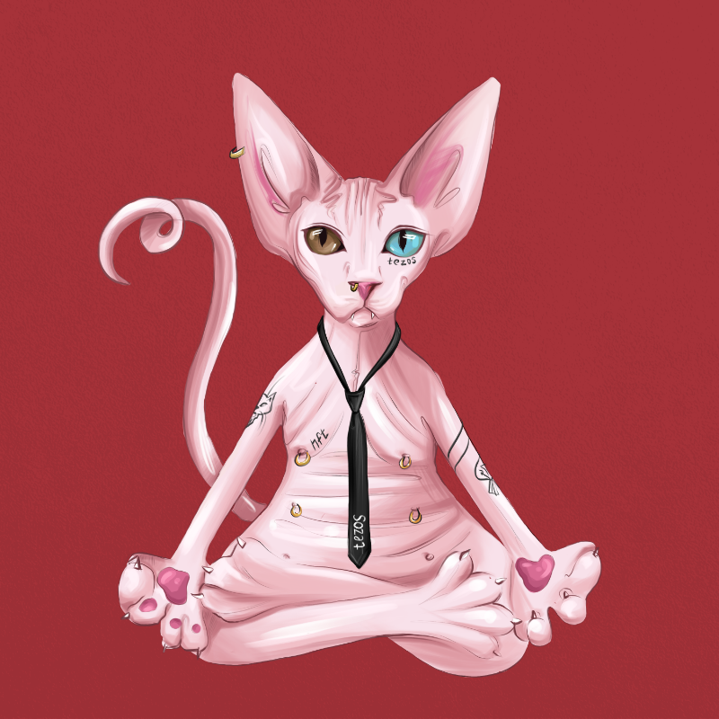 YogaCat #2