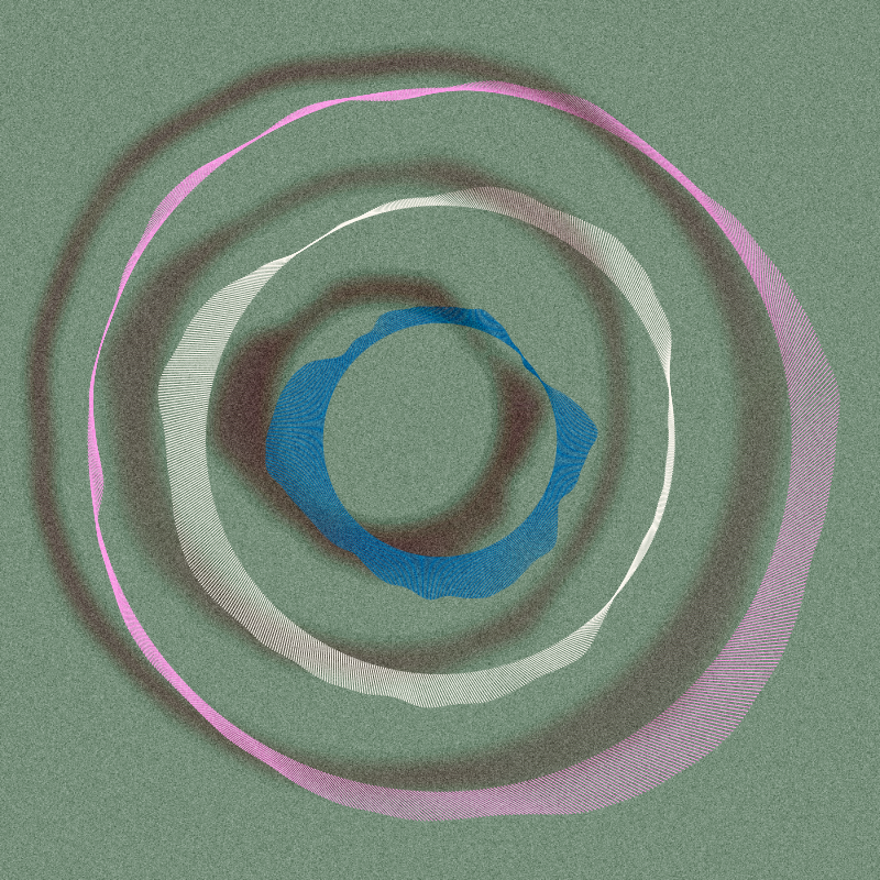 Tree Rings #23