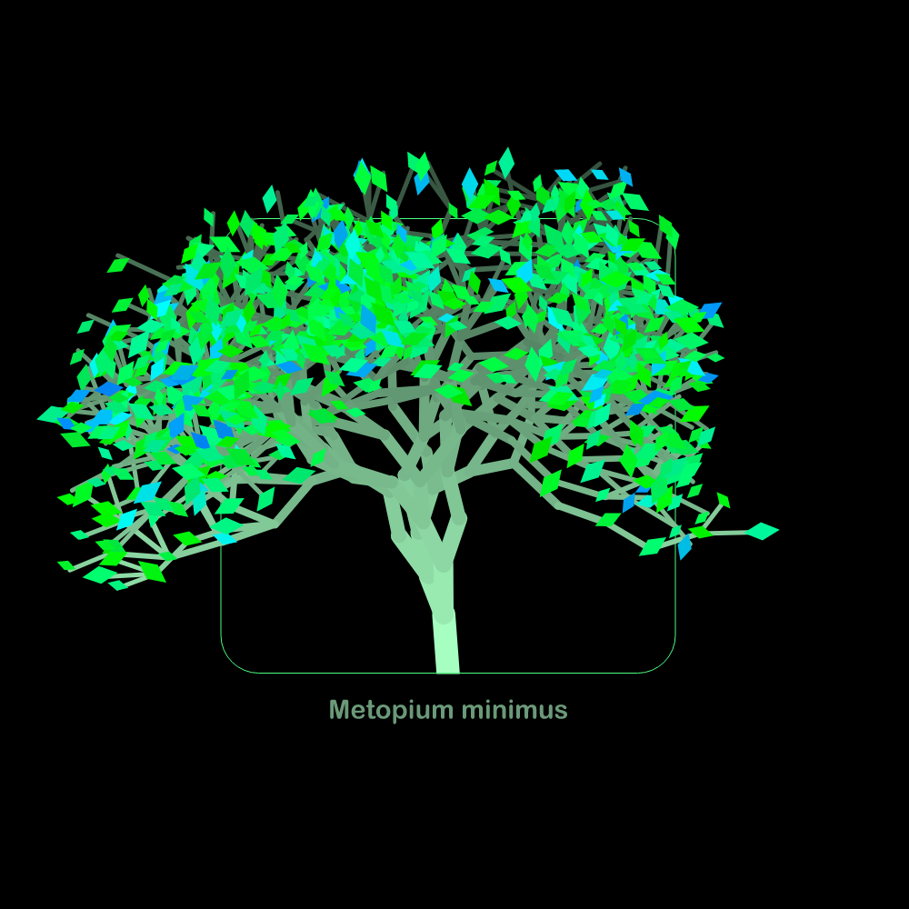 Fluidynamix - Trees #65