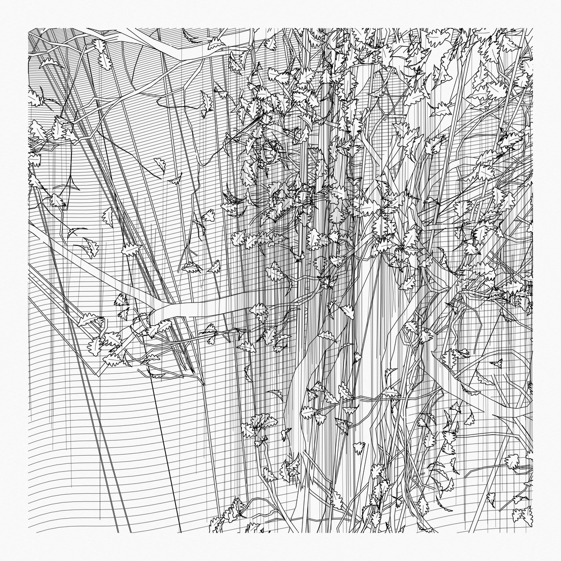 A Bugged Forest #120
