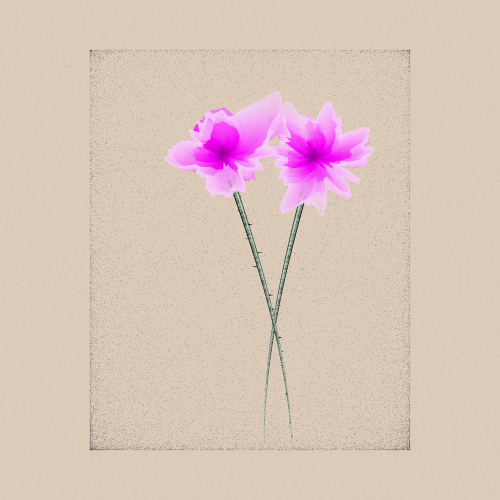Magnolia #91
