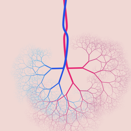 capillary trees #12