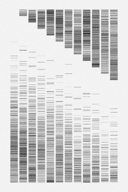 Sequence #270