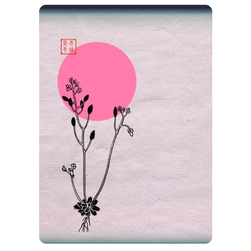 Zen flower card  #15