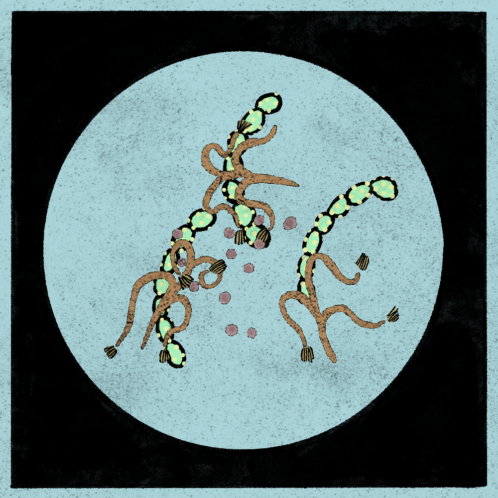 Microbes #235