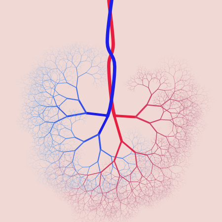 capillary trees #17