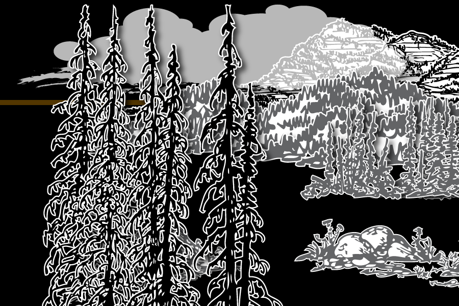 Wild Paper Road #10