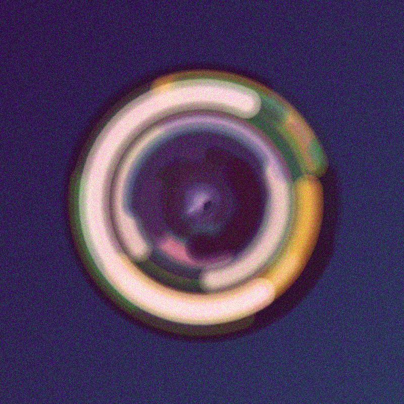 Wisp #303