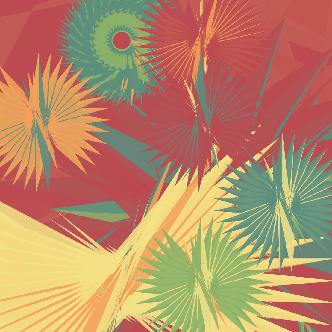 Tillandsia Lens #12