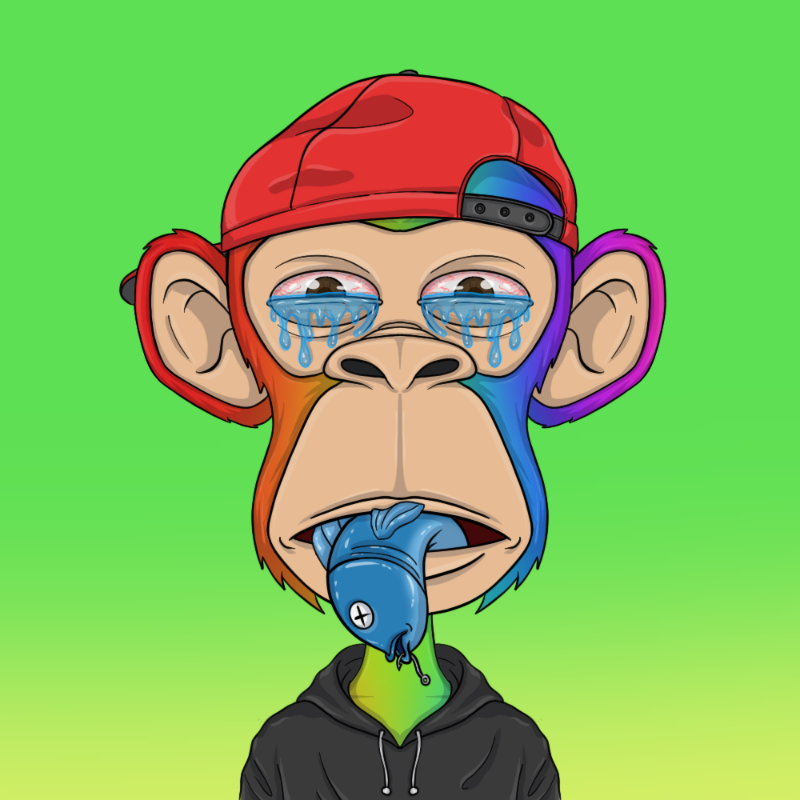 chimpantez #739