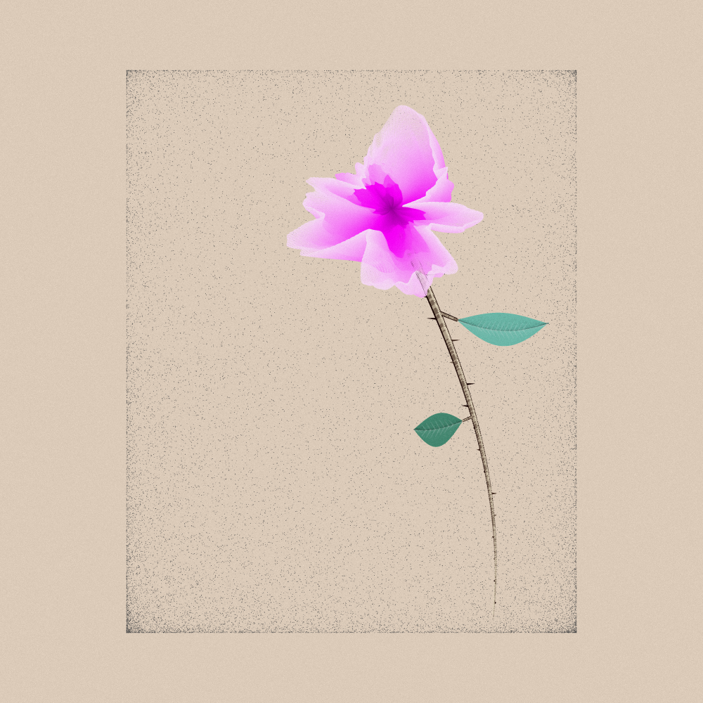 Magnolia #17