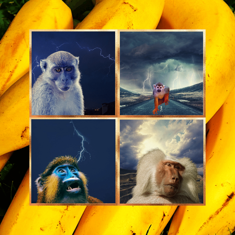 Banana legends #59