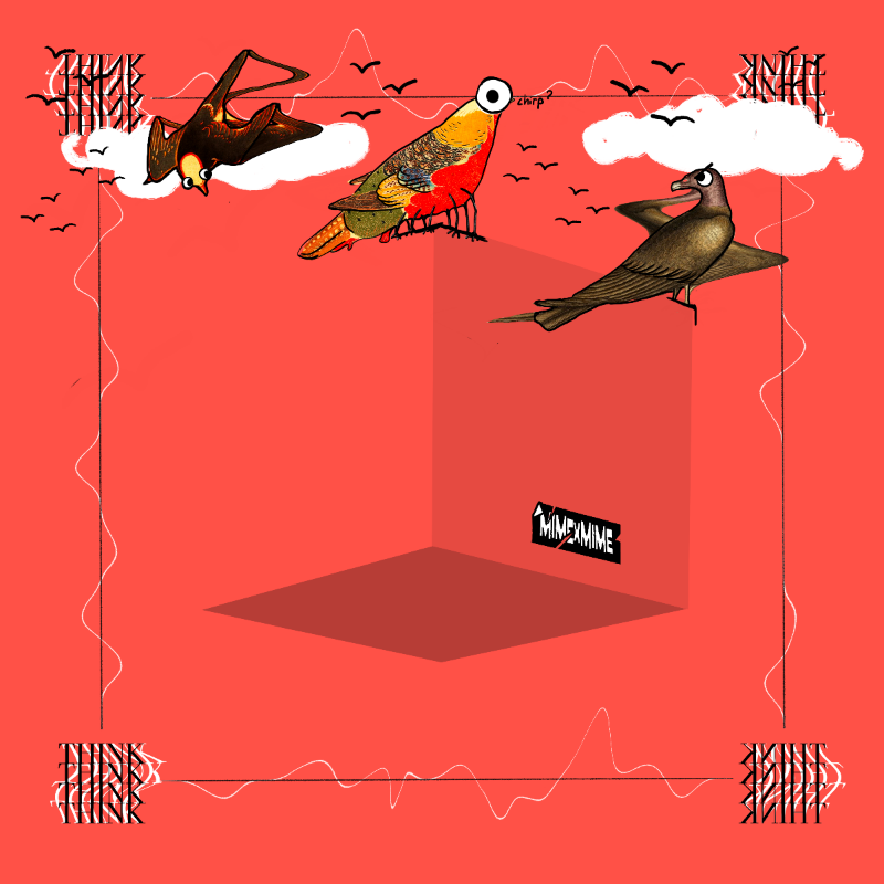 Invisible Box SE01 #129