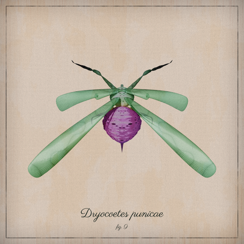 ProcGen Entomology #263