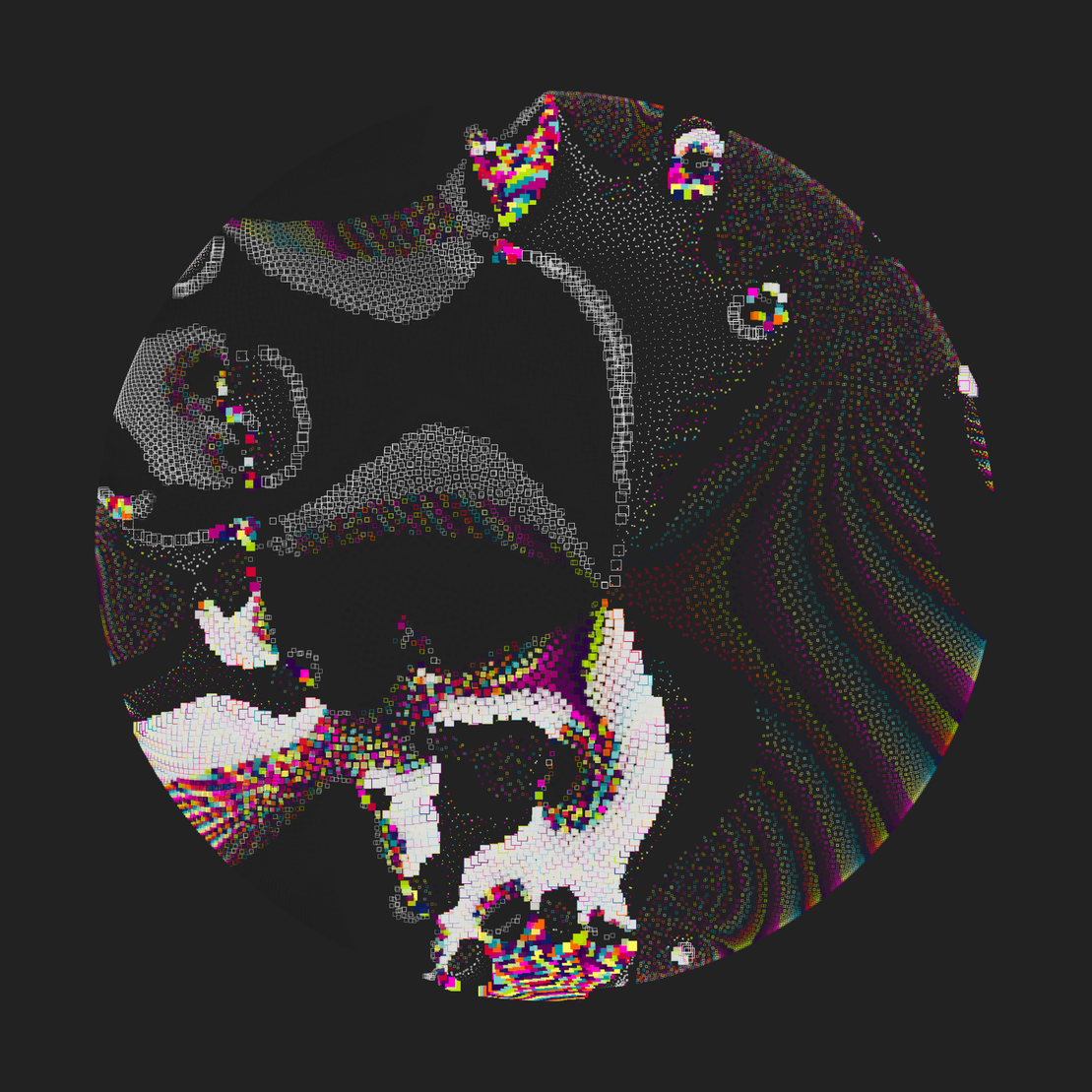 Still C #20900