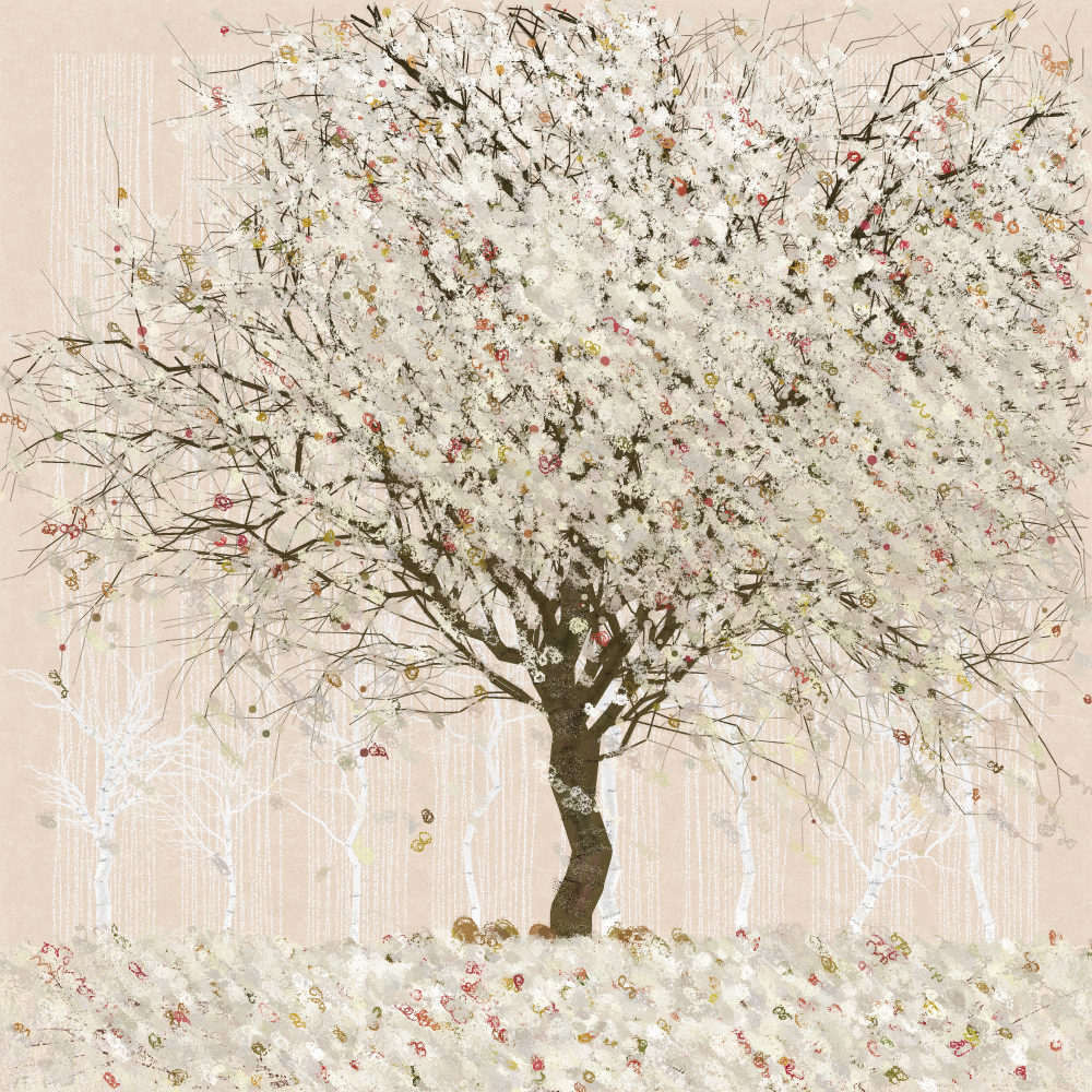 Orchard #128