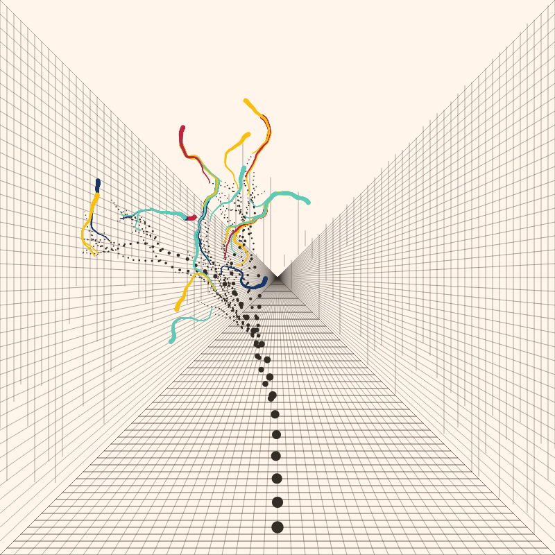 Decision Trees #19