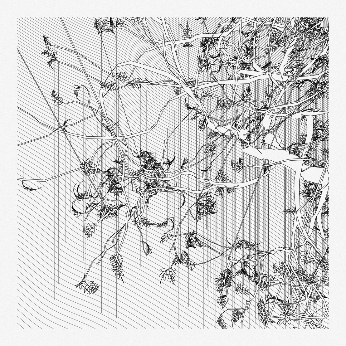 A Bugged Forest #654