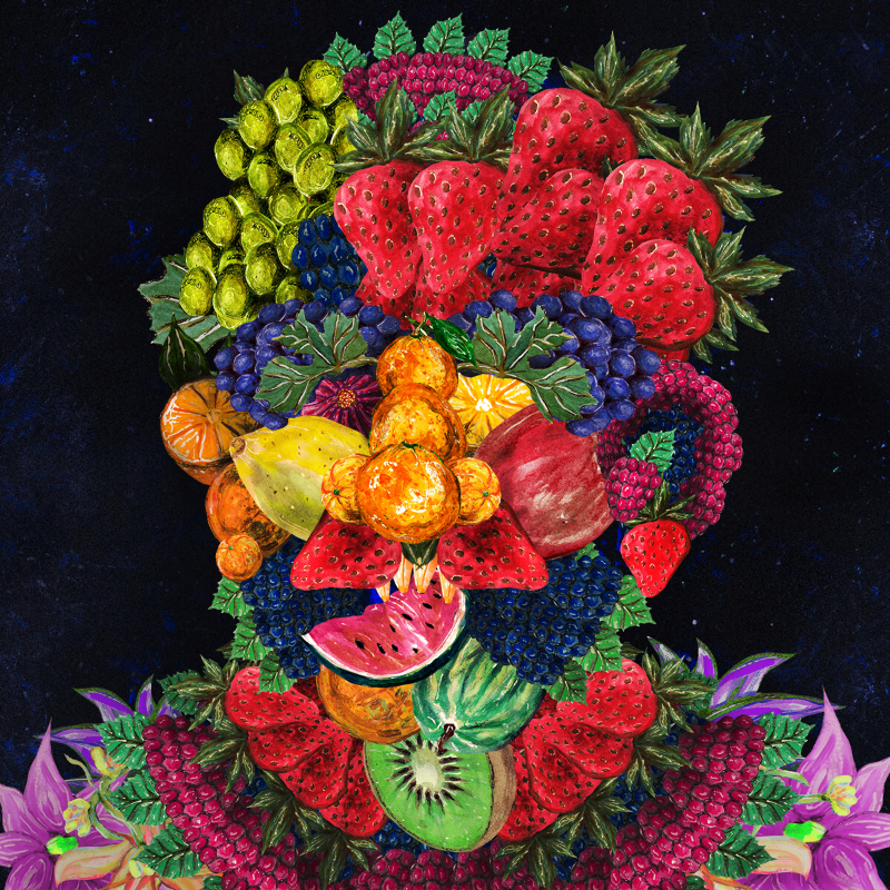 The Arcimboldo Project