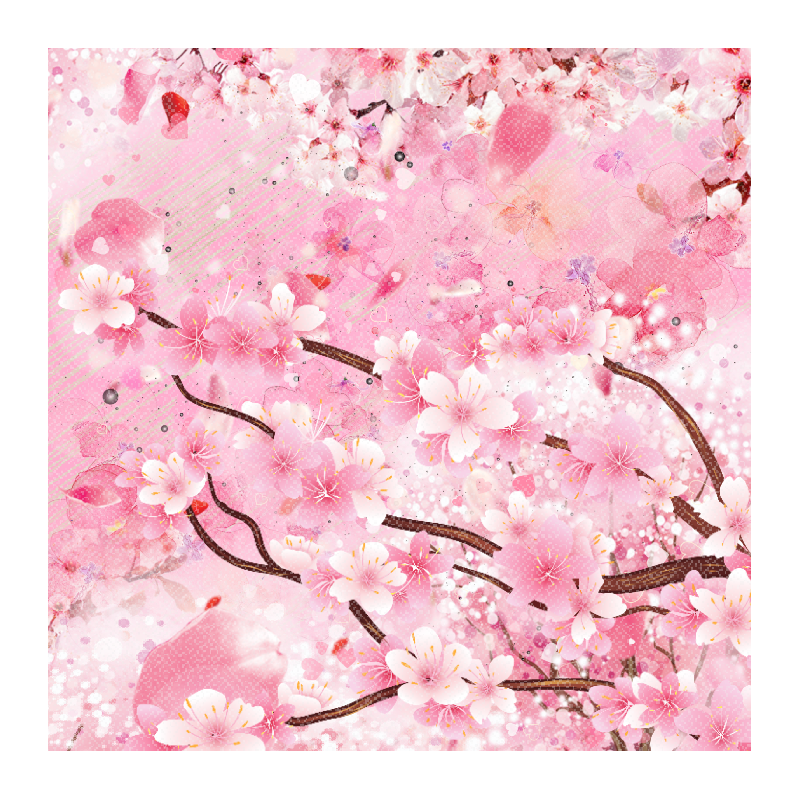 Sakura 桜 #5