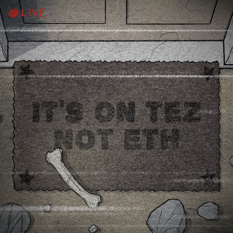 NOT A RUG #271