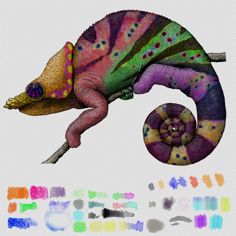 Colorful Cameleon #18