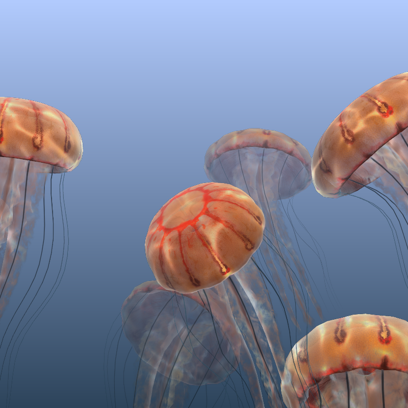 Jellyfish #14