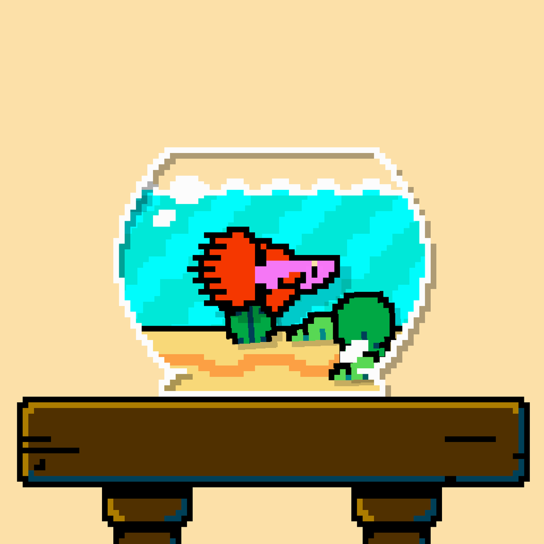 betta fish #143