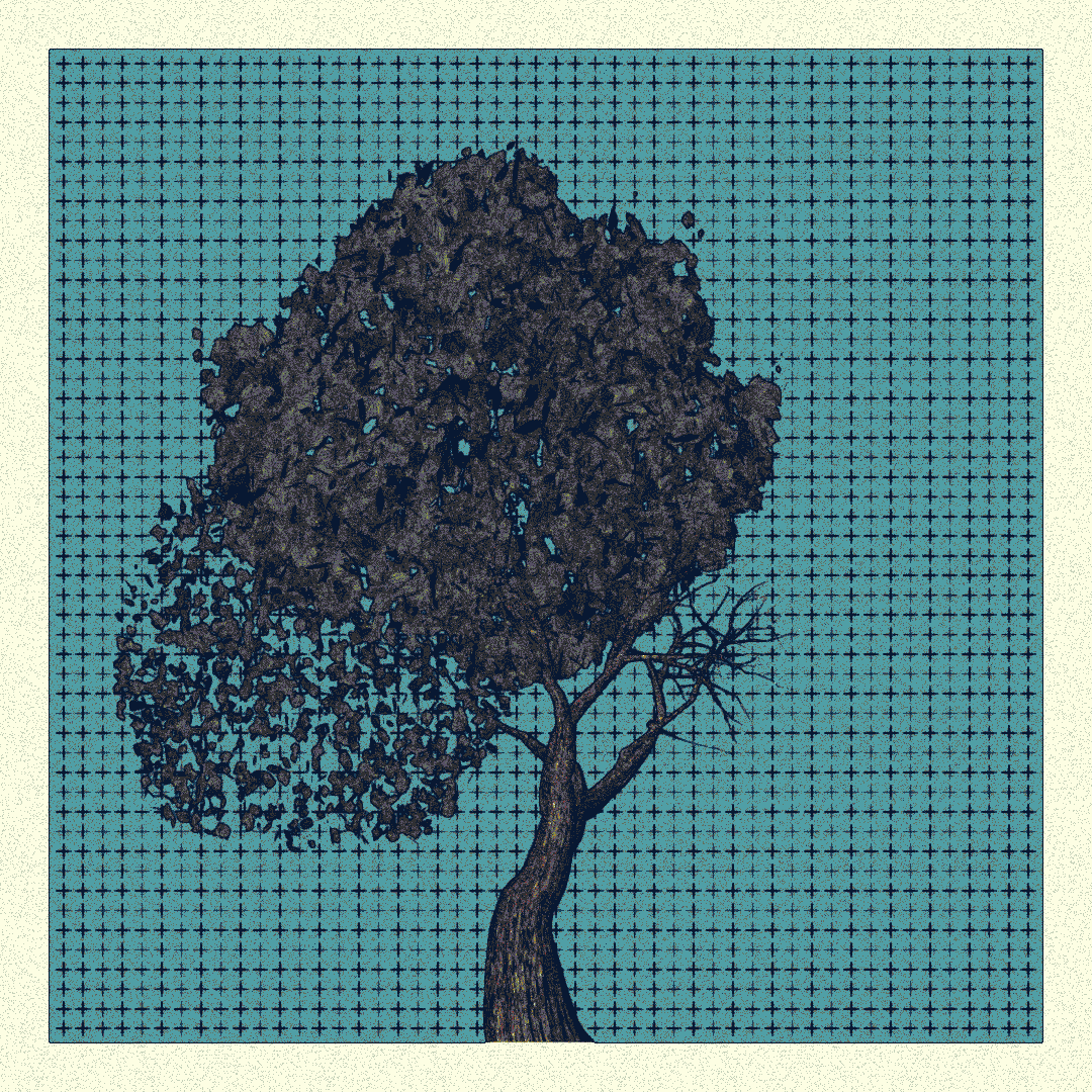 _argania[primaria] #269