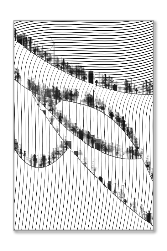 Harmonious Hill #55