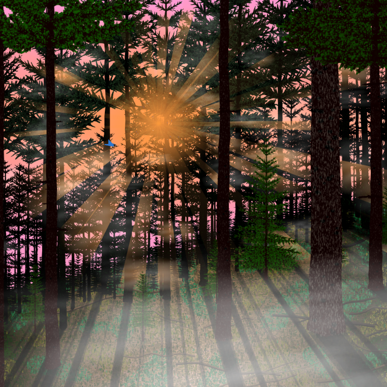 Forest Sunrise #50