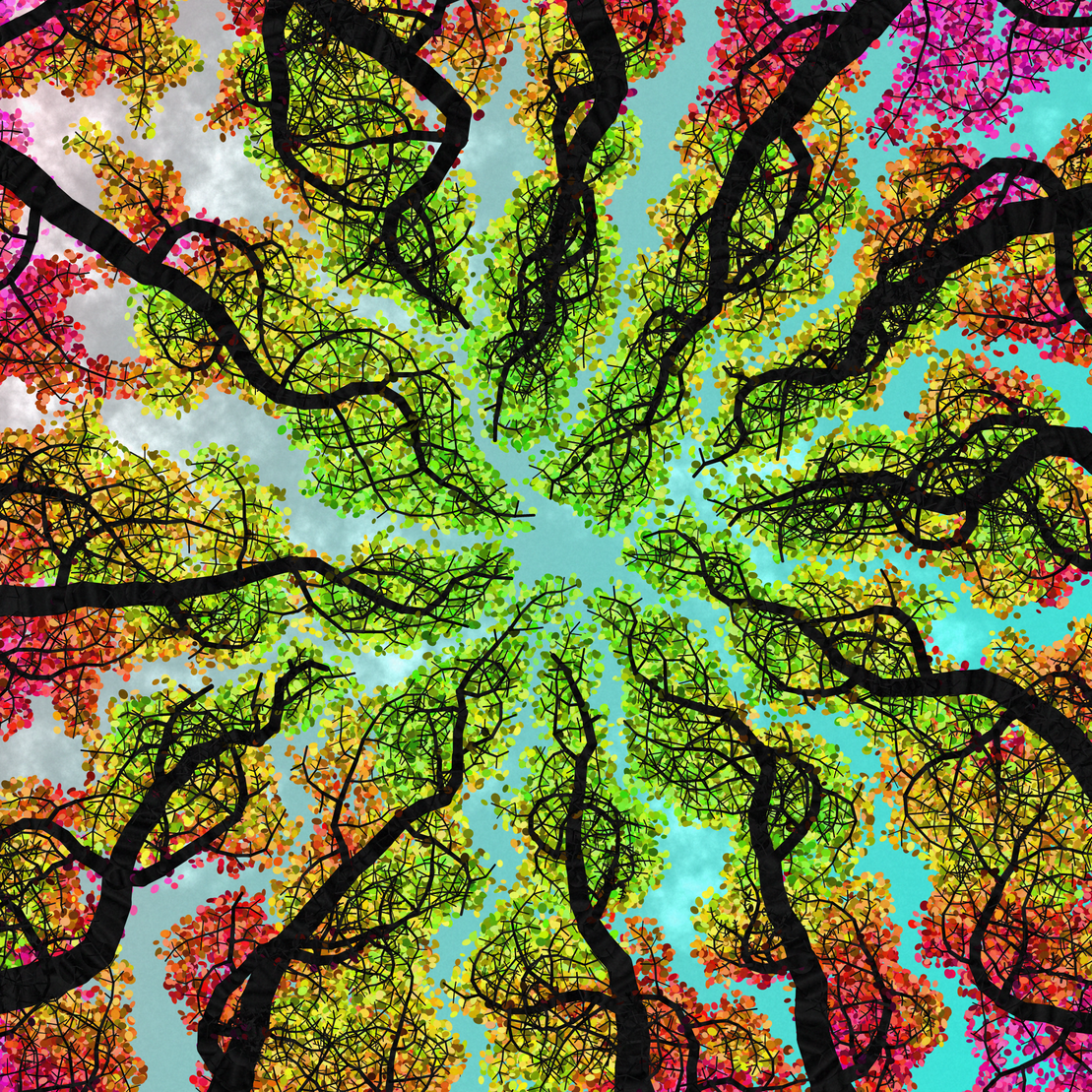 Tree Skyness #213