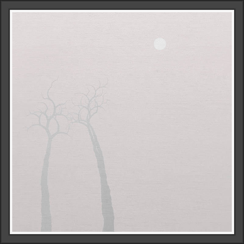 The Foggy Trees #113