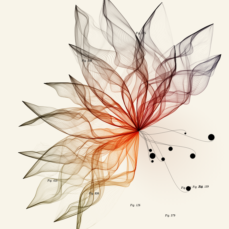 Herbarium #78