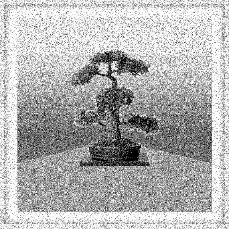 Bonsai Bonanza #870