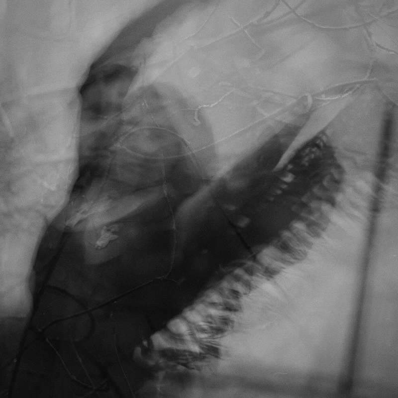 Metamorphose One #24